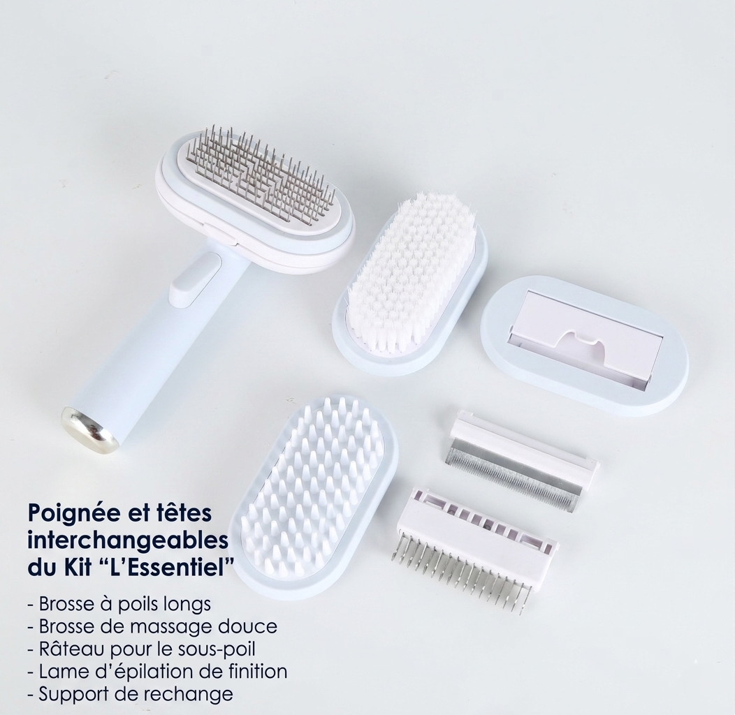 Kit de toilettage 5-en-1 "L'Essentiel" - Ensemble complet de têtes interchangeables pour chat.