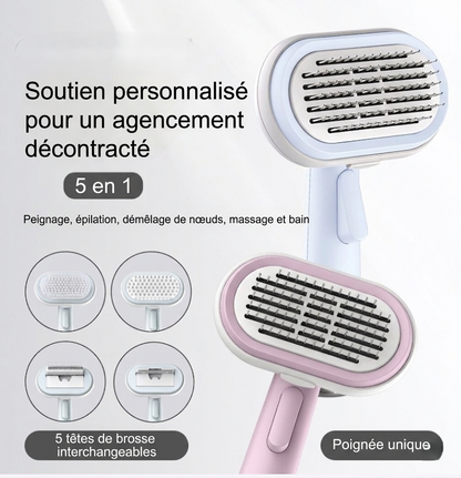 Brosse de toilettage chat 5-en-1 — 5 têtes interchangeables pour peignage, épilation, démêlage, massage et bain, poignée unique ergonomique